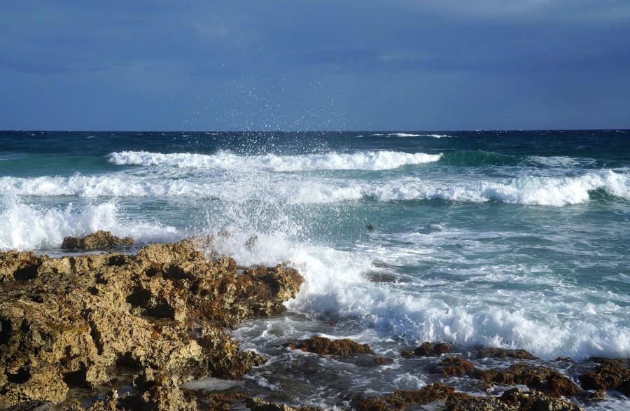 things to do in cozumel
