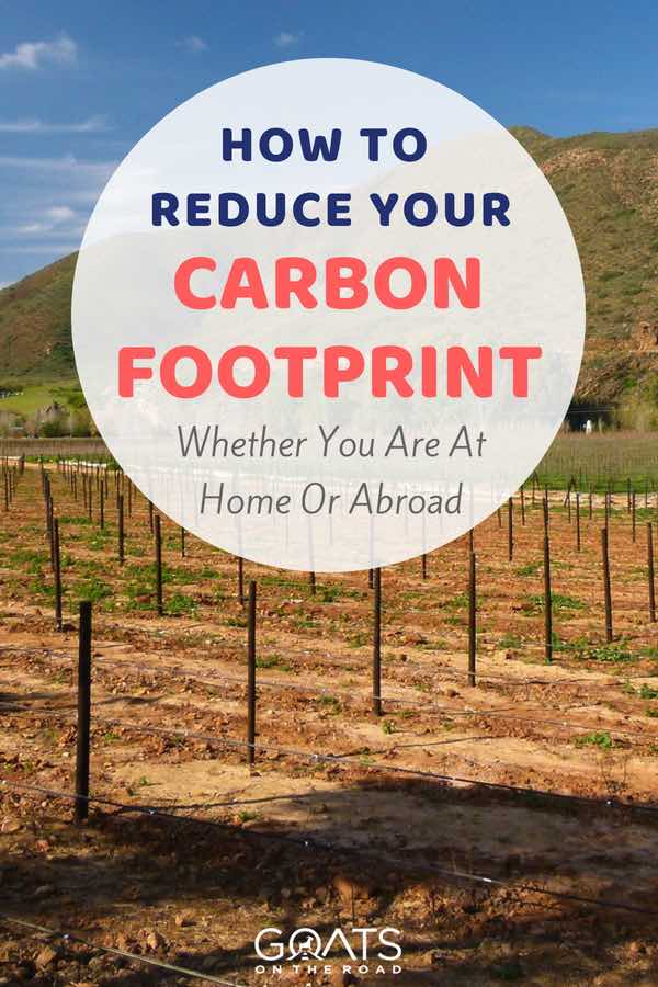 Reducing the pollution on planet earth is everyones responsibility, here’s a guide to sustainable living whether you are at home or abroad. Be kind to your environment | #greentravel #ecotravel #ecotourism #sustainabletravel #sustainableliving #adventure #traveltips #bestintravel #travel #responsibletravel #environment #planetearth Crops in field with text overlay How To Reduce Your Carbon Footprint