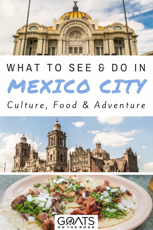 Culture, food and adventure. These are three things that Mexico City has in abundance. If your planning a visit to Mexico City find out all the best things to see and do in this captivating capital here | #visitmexico #mexicotips #mexico #travelmexico #xochimilco #teotihuacan #mexicocity #roma #condesa #fridakahlo #chapultepec Popular sights with text overlay What To See & Do In Mexico City