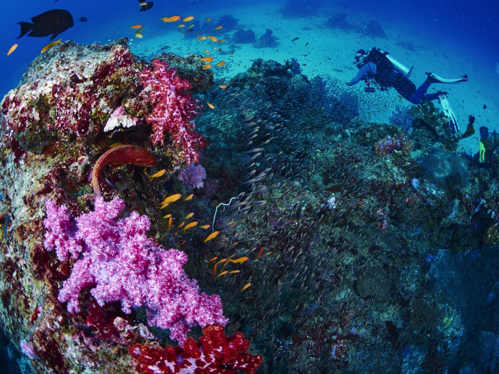 the best places to visit in thailand include diving sites. scuba diving on the islands