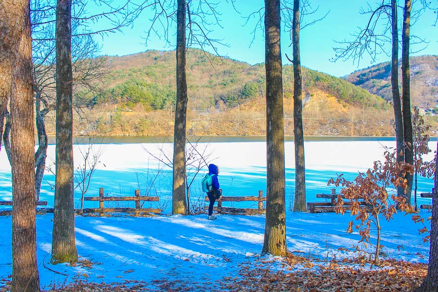Nami Island in Winter is one of the best places to visit in seoul