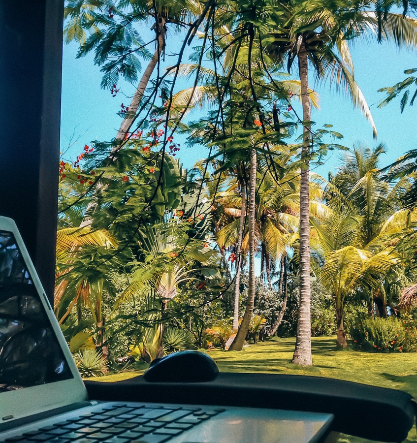 legit online jobs freelance writing. nice view with palm trees, laptop and blue sky