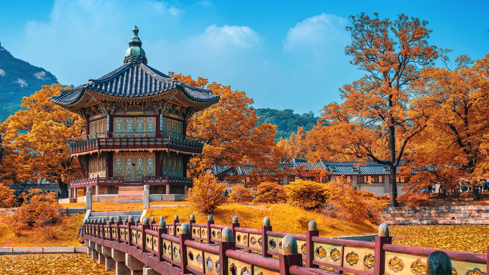 visit seoul walking tour