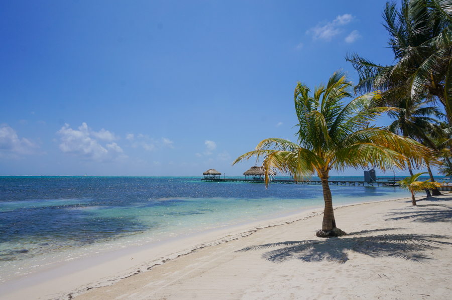 ambergris caye is one of the best beaches in the caribbean