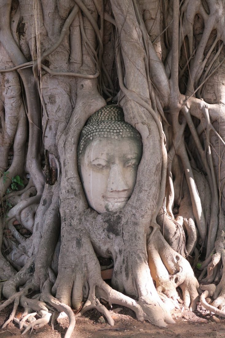 ayutthaya historical park temples to visit