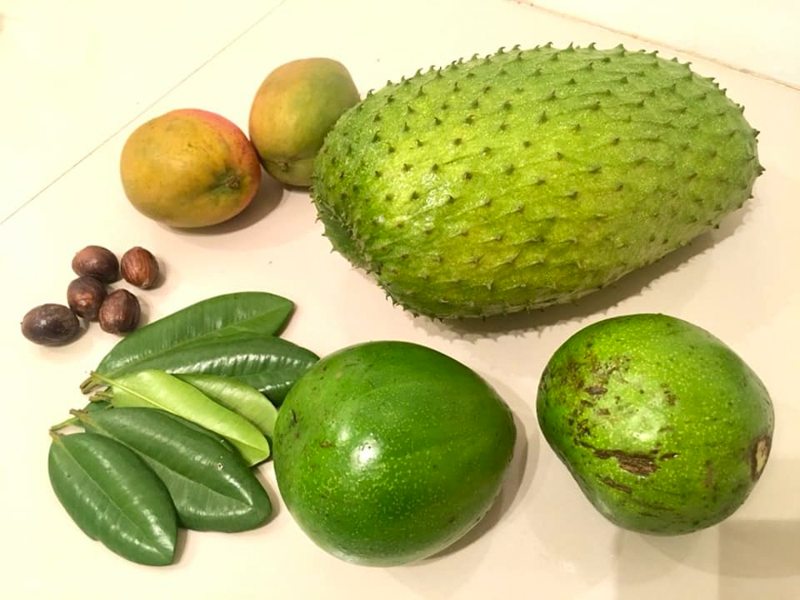 fruit in grenada