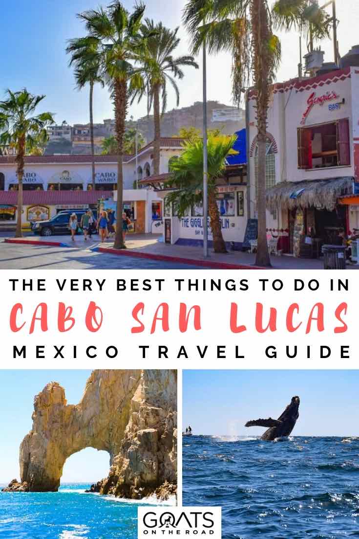 Looking for what to do in Cabo San Lucas? Here's the best activities to do in Baja California Sur including recommendations on what to eat and where to stay in Cabo San Lucas . Whether you want to go on a whale watching cruise, hang by the beautiful beach, go on a walking tour, or experience the night life with some tequila, we’ve got the ultimate list of things to do | #travelmexico #cabosanlucas #vacation cabo san lucas whale, beach and town with text overlay