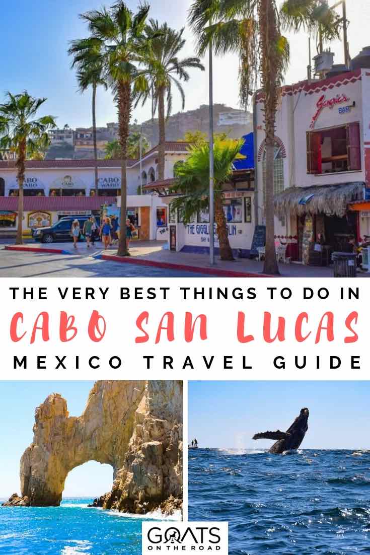 cabo san lucas whale, beach and town with text overlay