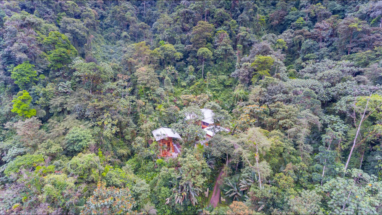 airbnb in mindo ecuador