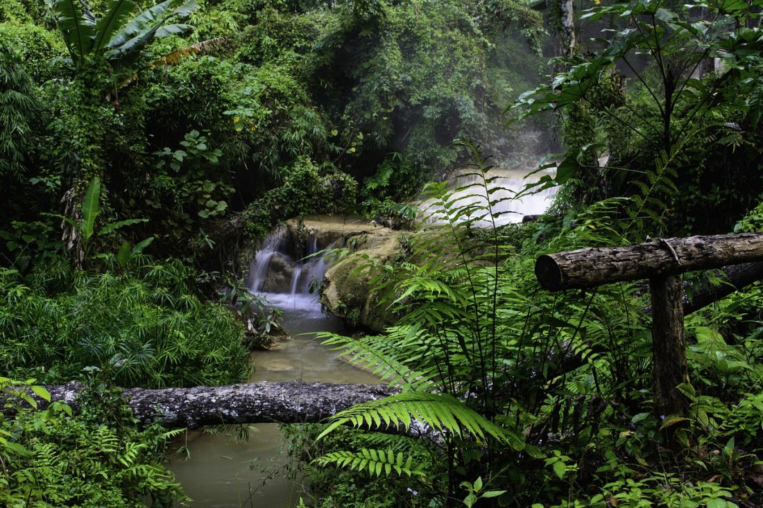 khao sok national park thailand