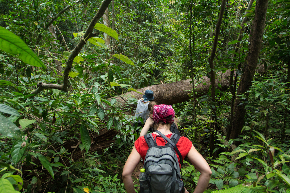 hiking through khao yai national park in thailand