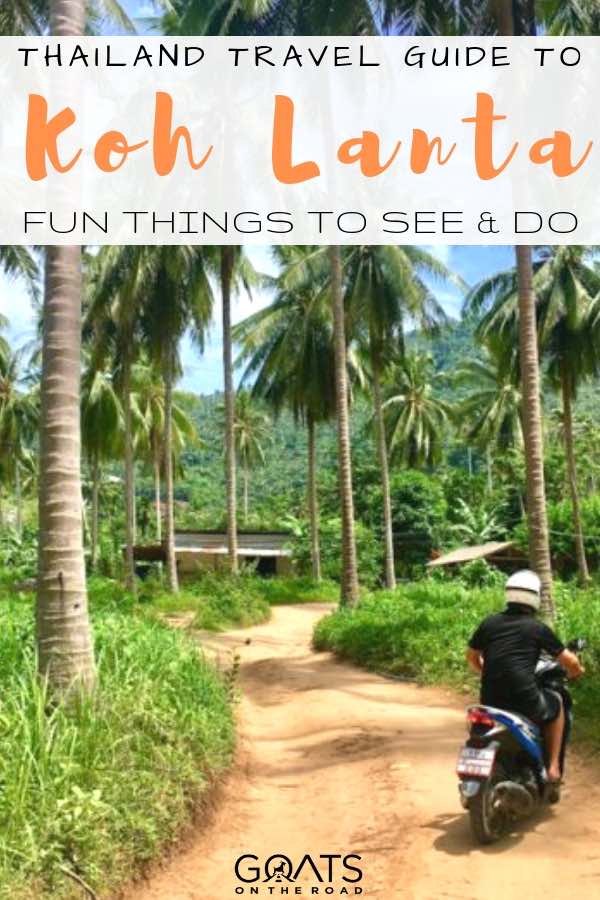 Looking for things to do in Koh Lanta, Thailand? There are beautiful beaches to enjoy like long beach, reefs to go snorkeling and diving at, restaurants to indulge in, an old town to explore and national parks. Check out our travel guide to get tips on activities in this paradise destination! | #southeastasia #travelthailand #kohlanta man driving scooter between palm trees with text overlay thailand travel guide to koh lanta