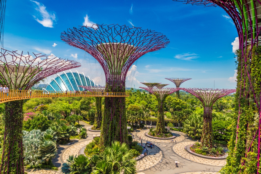 checking out the supertrees is one of the best things to do in singapore