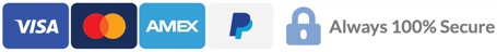 Always Secure Payments HTTPS