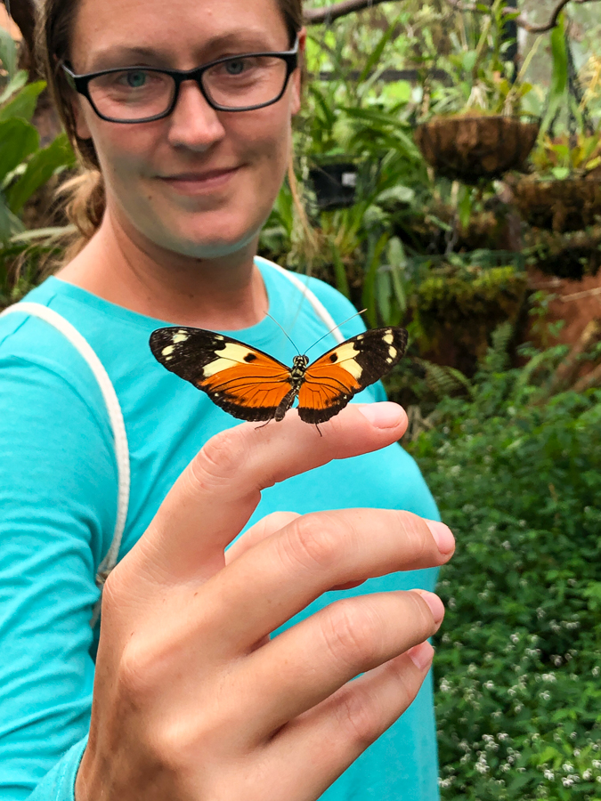 3 day travel guide to mindo visit the butterfly gardens