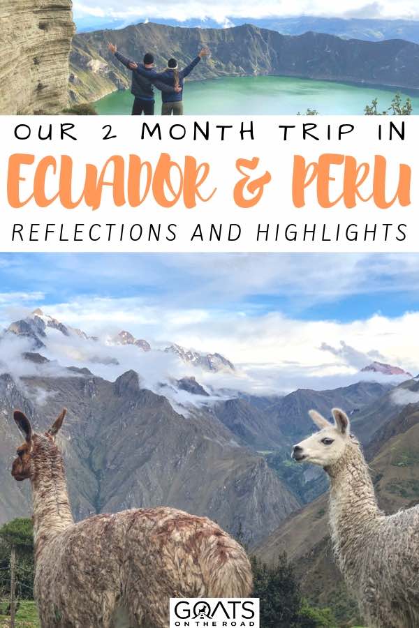 llamas on top of a mountain with text overlay our 2 month trip in ecuador and peru