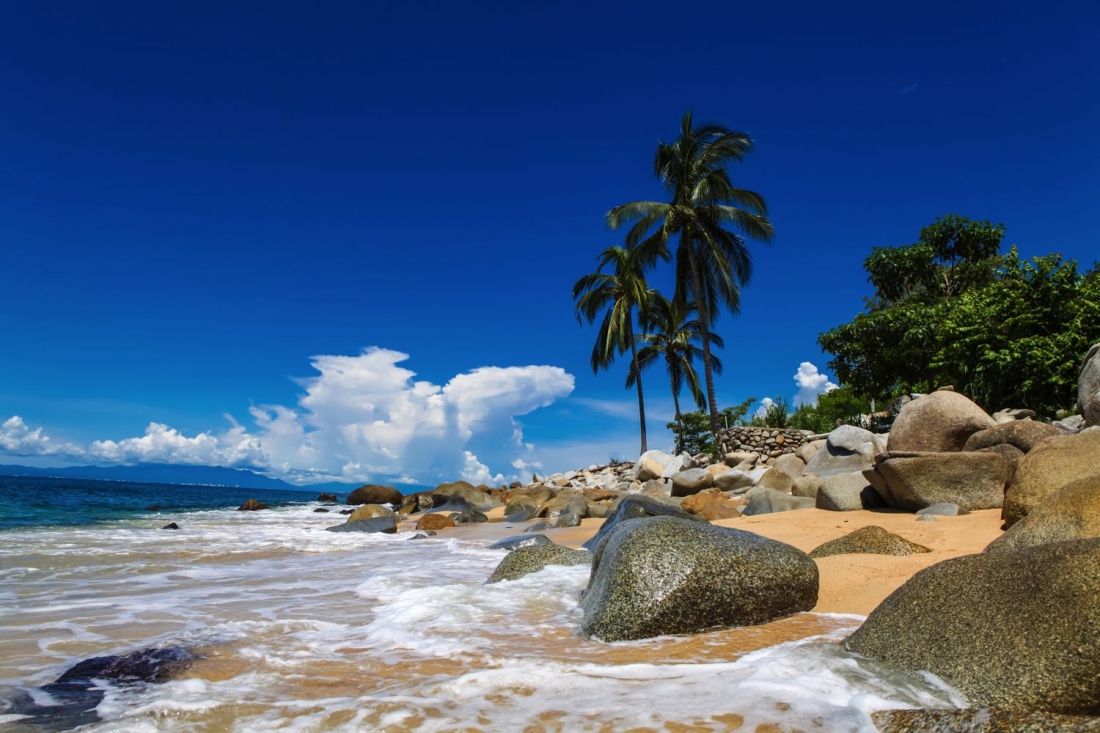 playa las animas puerto vallarta