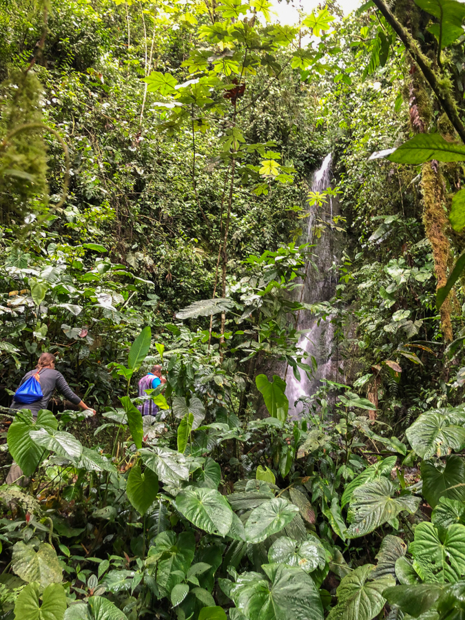 hiking to waterfalls in mindo ecuador