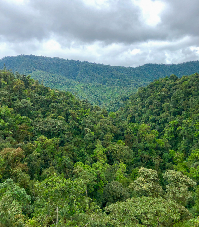 mindo cloud forest