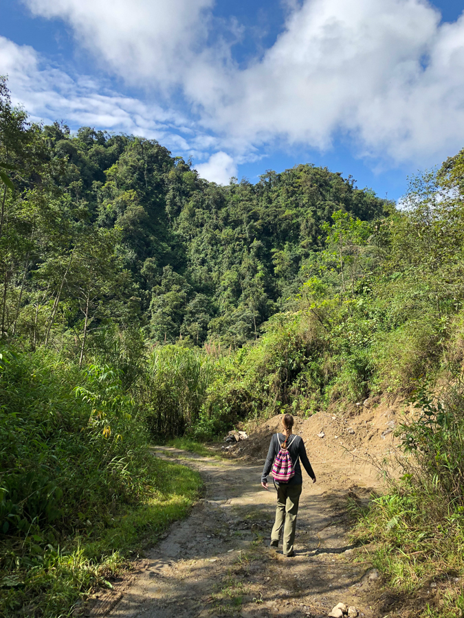 Go for a walk and take breaks when you're working as a freelancer.