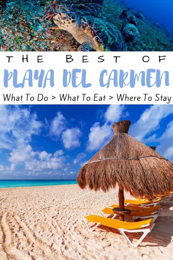 Looking for where to stay and things to do in Playa Del Carmen, Mexico? We’ve got the complete guide for you, filled with activities and what to see, like scuba diving around coral reefs, or relaxing at the best beaches, as well as where to eat and drink! For tips and ideas, check out our awesome Playa Del Carmen guide! | #mexico #traveltips #wanderlust beach umbrella and turtle with text overlay the best of playa del carmen