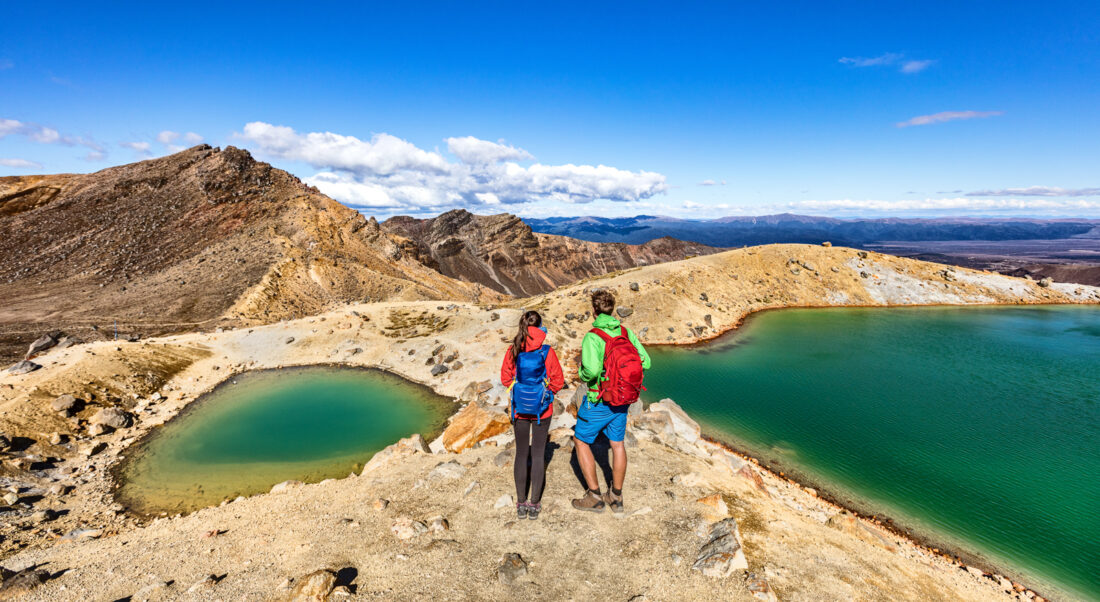 new zealand working holiday visa