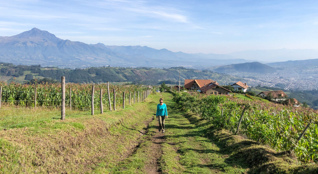 travel guide to otavalo ecuador