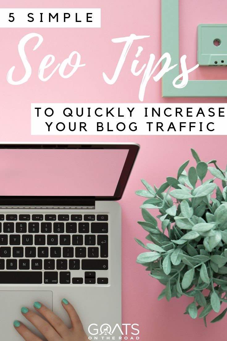 laptop and plant with text overlay SEO tips to drive traffic to your website