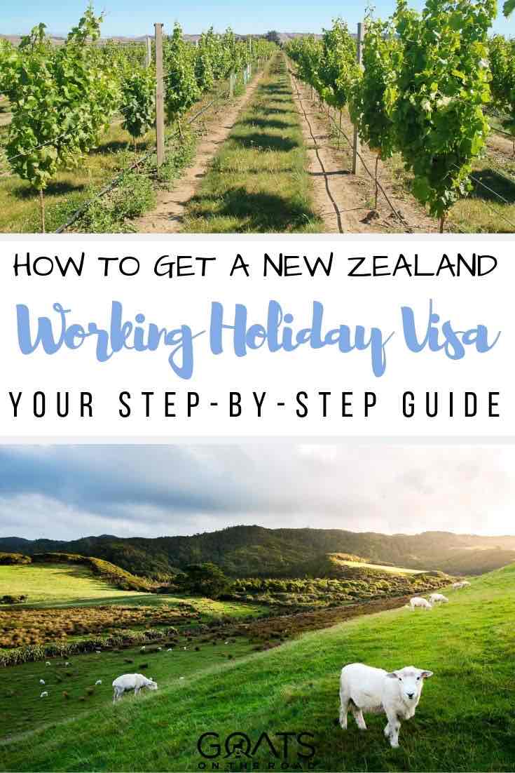 winery with text overlay how to get a New Zealand working holiday visa