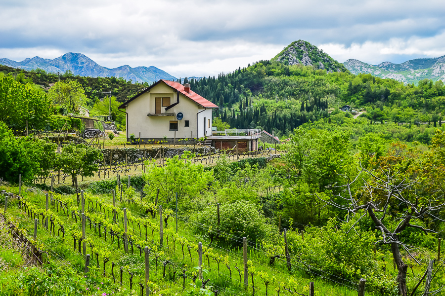 lake skadar workaway montenegro