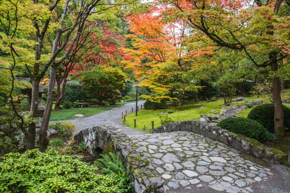 washington park Arboretum in seattle