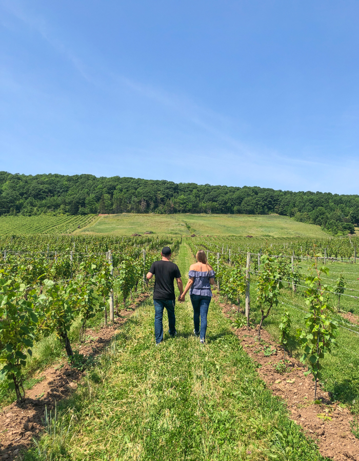 gaspereau vineyards places to visit in nova scotia