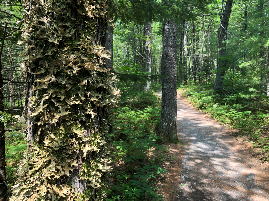 hiking is one of the best things to do in nova scotia