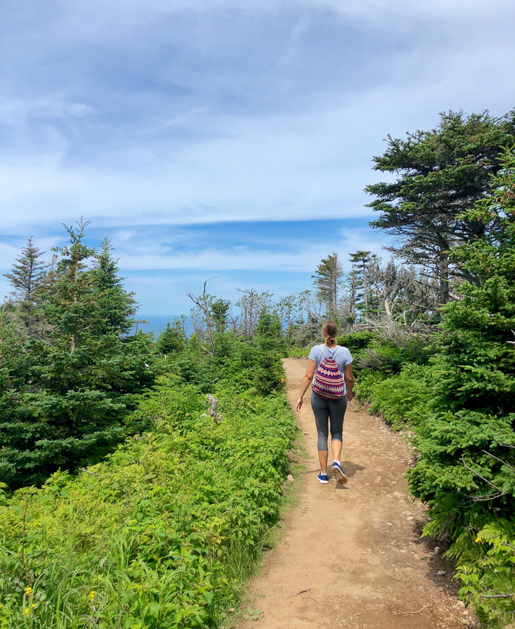 One of the best things to do in Nova Scotia is hike the Skyline Trail.