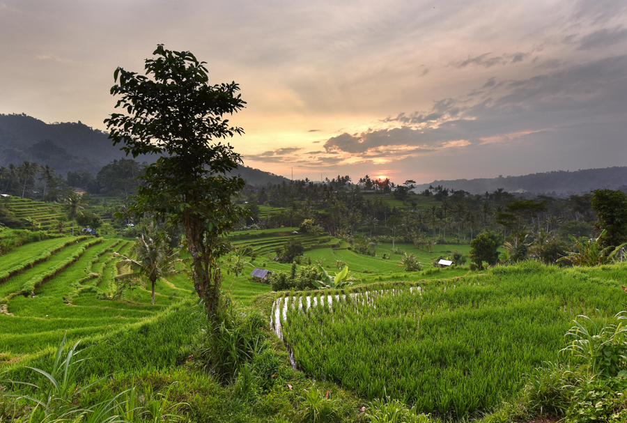 where to go in bali sideman