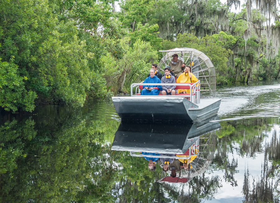 new orleans swamp tour in december