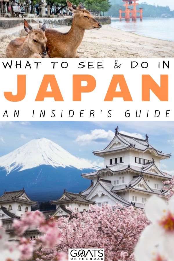 cherry blossoms with text overlay what to see and do in japan