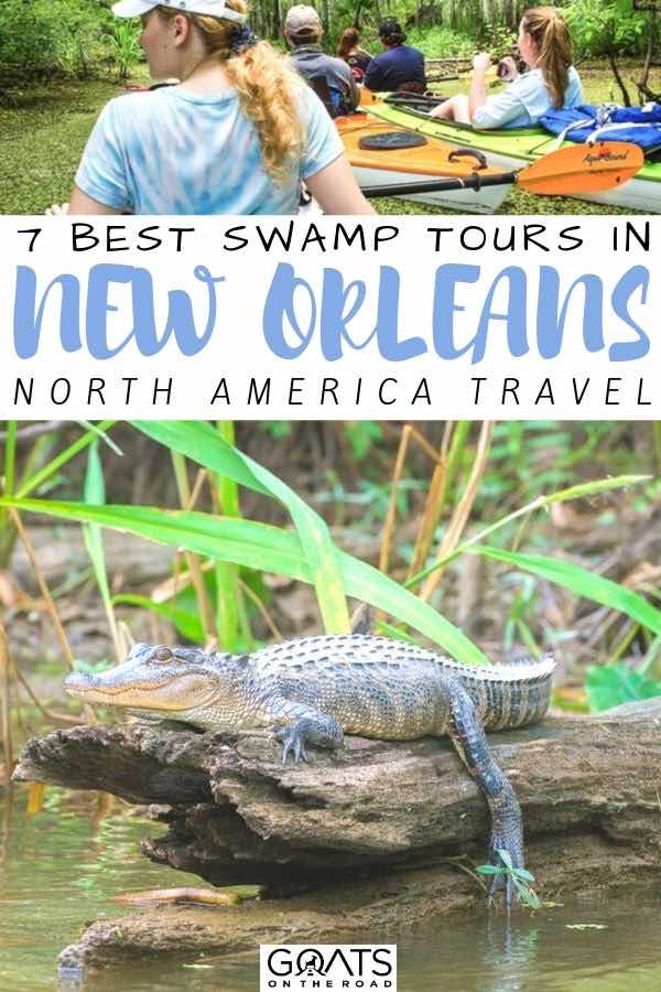 Looking for things to do in New Orleans? With some amazing swamps close by, you can be surrounded by gators and wildlife. For tips on which tour to choose, check out our travel guide! | #northamerica #wildlife #neworleans gator with text overlay 7 best swamp tours in new orleans