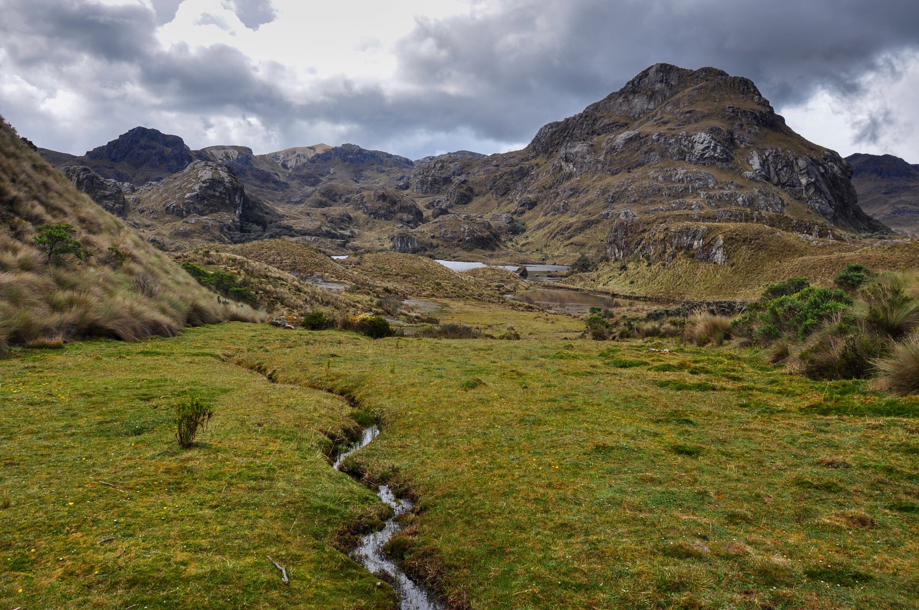 hiking el cajas national park