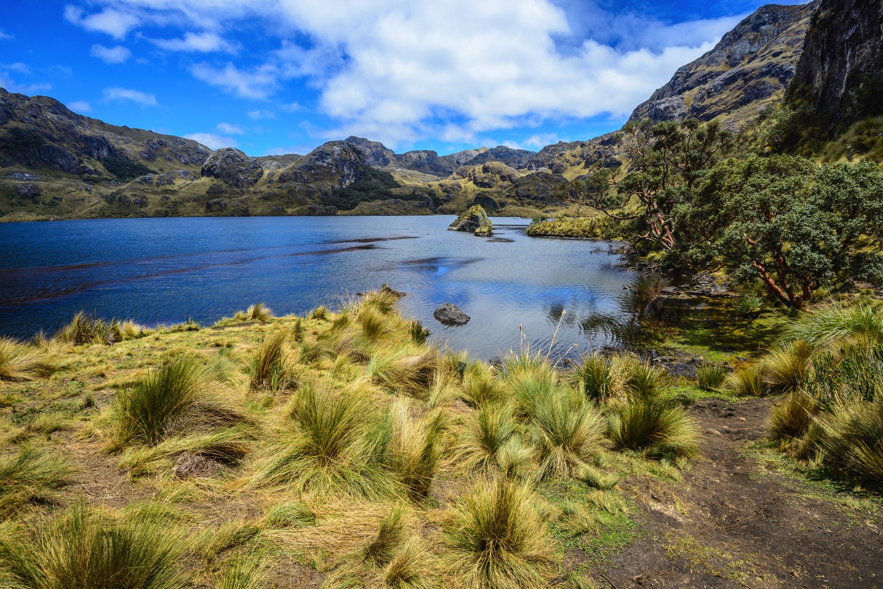 lake in el cajas park ecuador