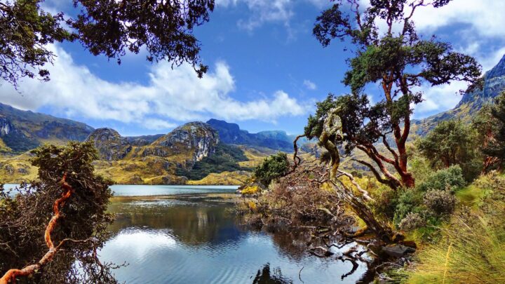 travel guide to el cajas national park ecuador