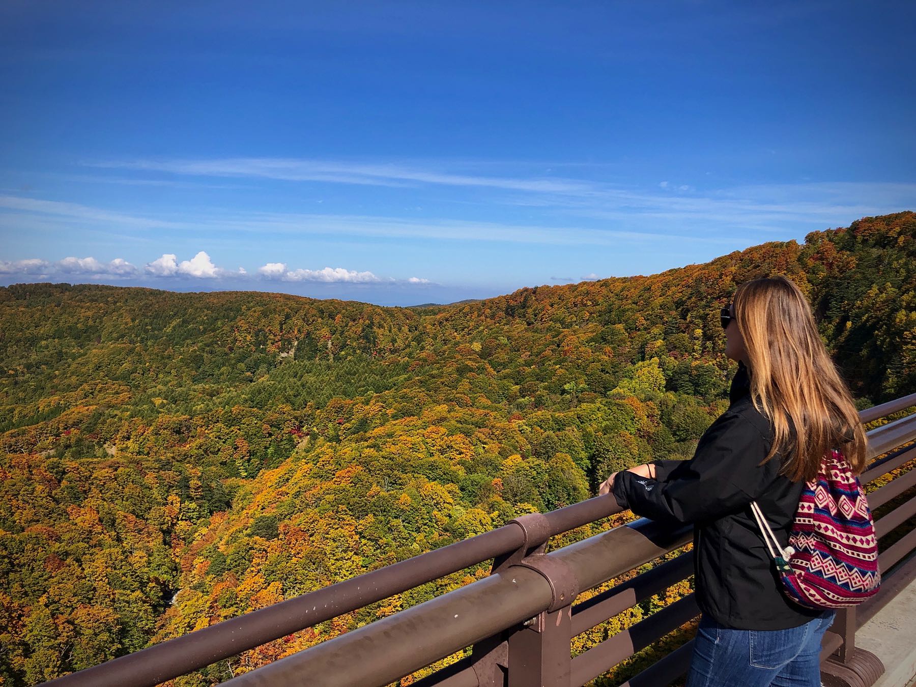 View from the Jogakura Bridge, gorgeous during the autumn months