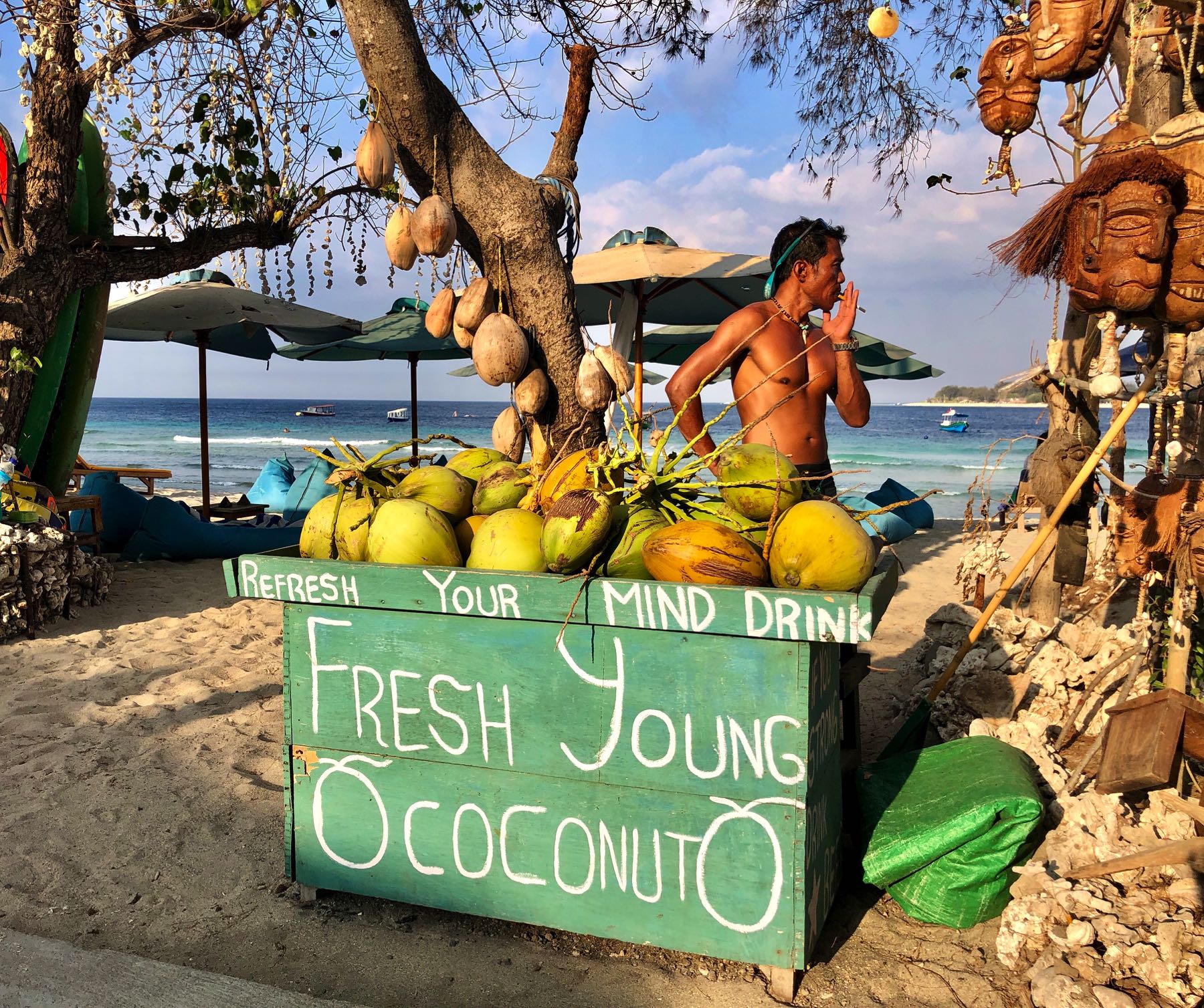 coconuts for sale gili t