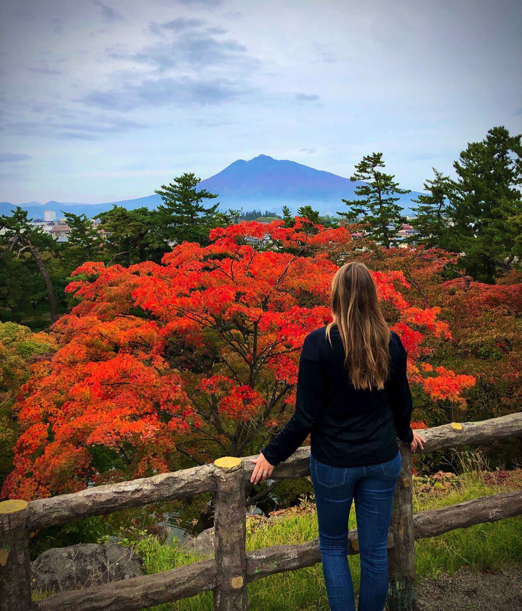 Amazing view of the volcano and autumn colours in Hirosaki Park