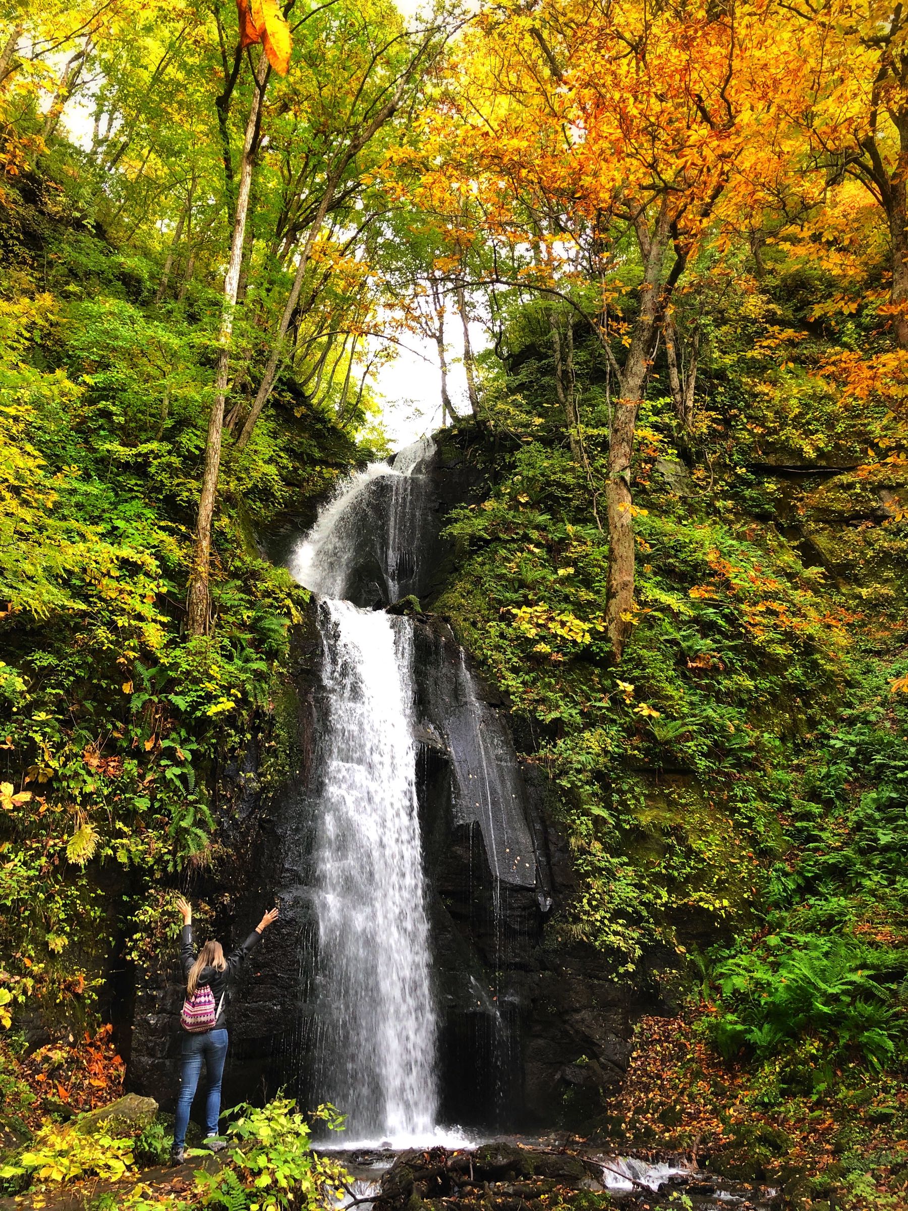 waterfall at oirase in tohoku