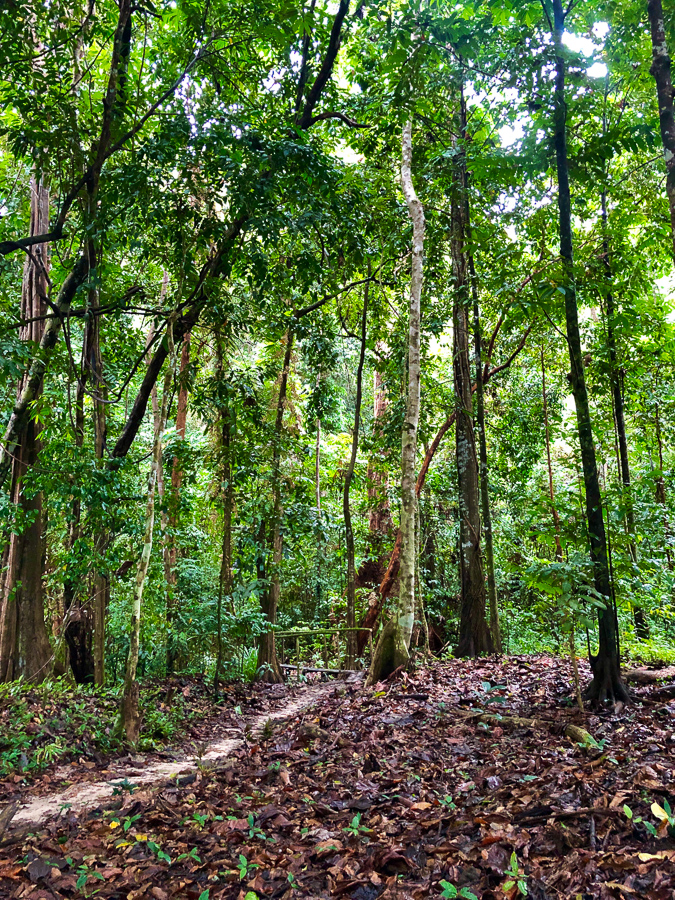 papua paradise eco resort