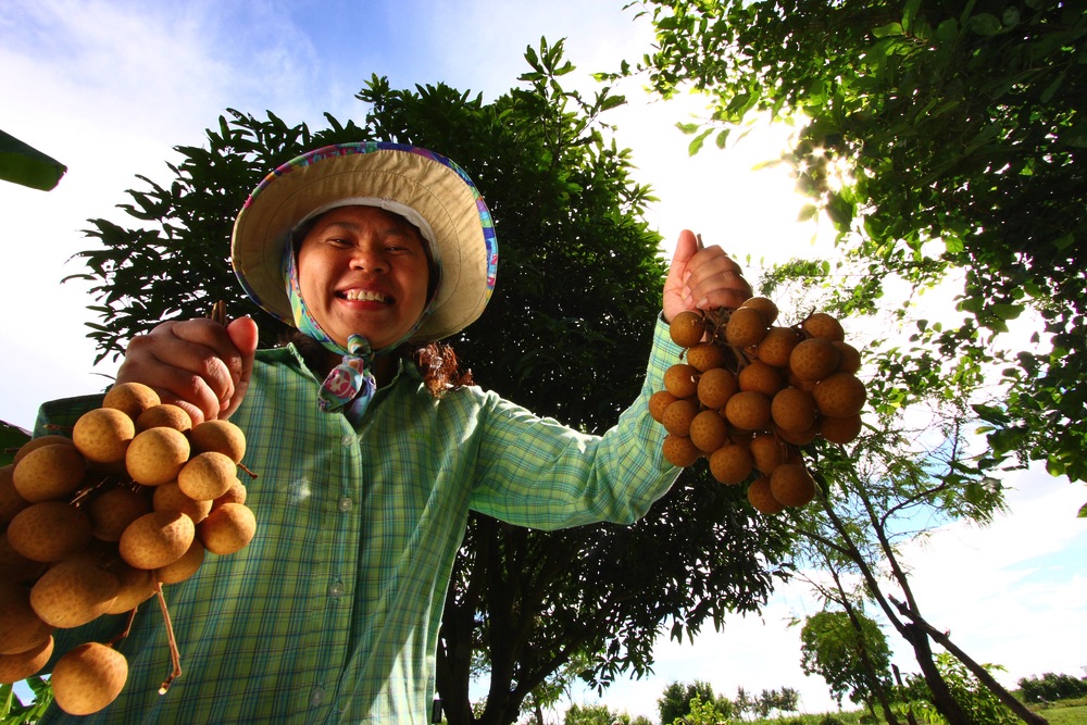 Friendly Thai Farmer Smiling