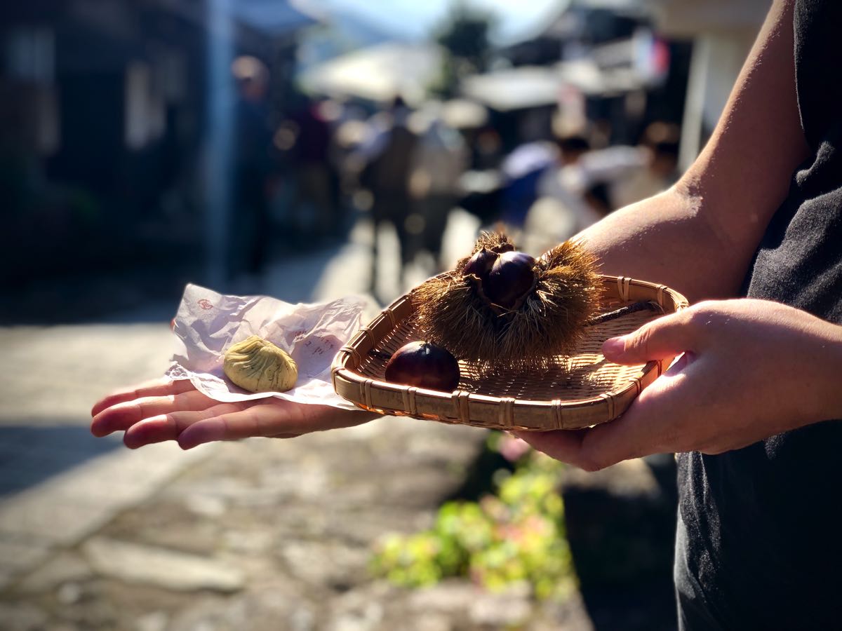 chestnuts in nakatsugawa