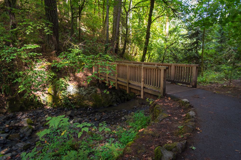 best places to visit in portland forest park