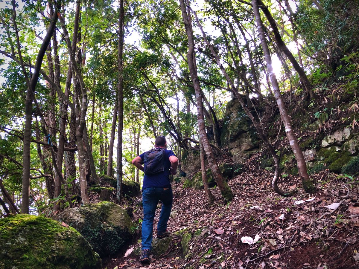 hiking to the naegi castle